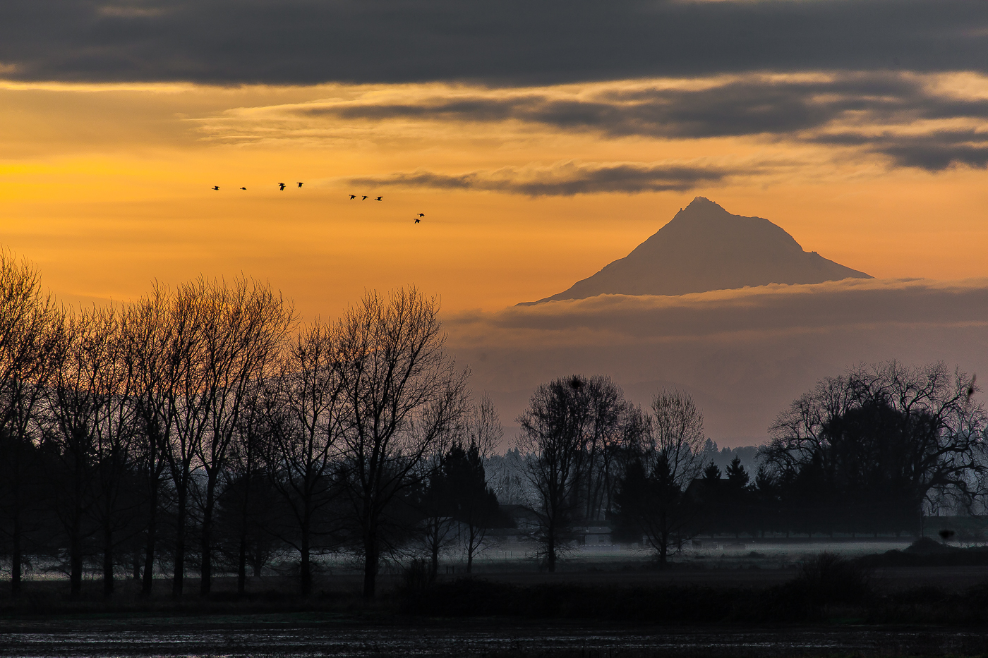 Mount Hood